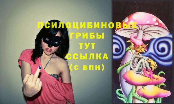 не бодяженный Алзамай