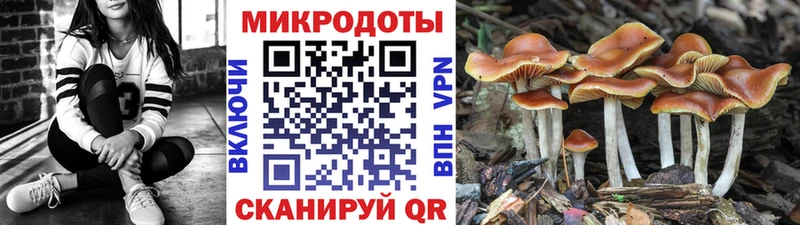 купить   МЕГА как зайти  Галлюциногенные грибы Psilocybe  Ленинск 